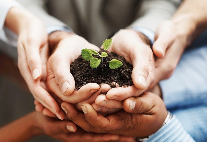 Image of multiple pairs of hands cradling soil and a growing plant